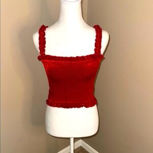 Privacy Please Scarlet Velvet Ruffle Crop Top
